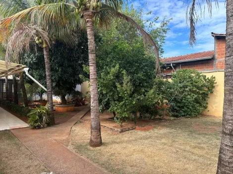 imagem 5 - CASA AMPLA COM PISCINA E AMPLA ÁREA VERDE, PARA LOCAÇÃO NO JARDIM TERRA BRANCA, BAURU/SP imagem 5 - CASA AMPLA COM PISCINA E AMPLA ÁREA VERDE, PARA LOCAÇÃO NO JARDIM TERRA BRANCA, BAURU/SP