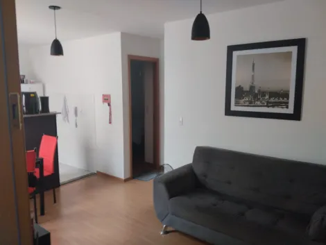 imagem 5 - Apartamento Condominio Bella Austria Jardim Paraiso imagem 5 - Apartamento Condominio Bella Austria Jardim Paraiso
