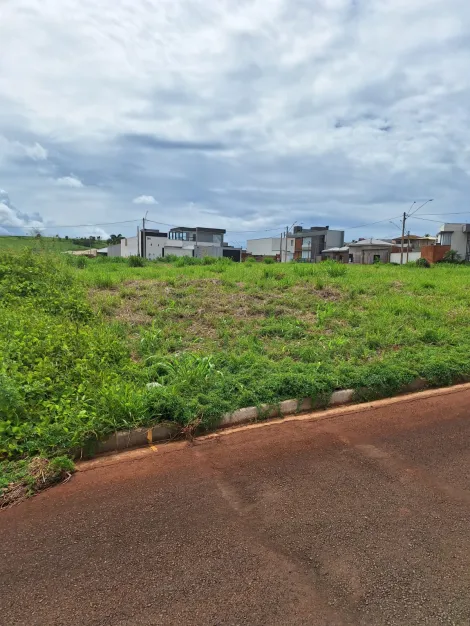 imagem 1 - Terreno - Padrão imagem 1 - Terreno - Padrão
