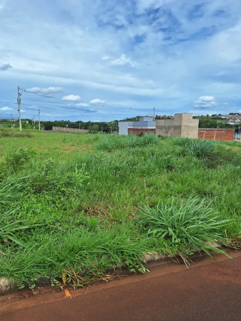 imagem 2 - Terreno - Padrão imagem 2 - Terreno - Padrão