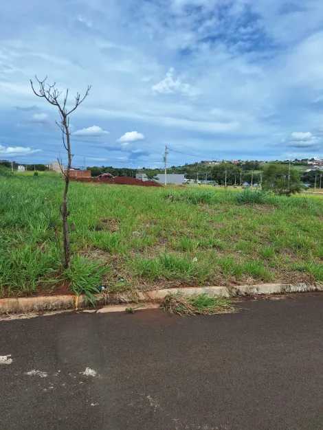 imagem 1 - Terreno - Padrão imagem 1 - Terreno - Padrão