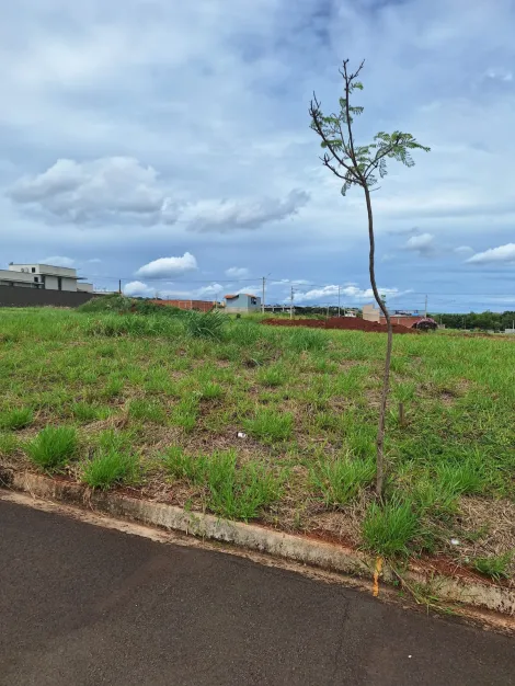 imagem 2 - Terreno - Padrão imagem 2 - Terreno - Padrão