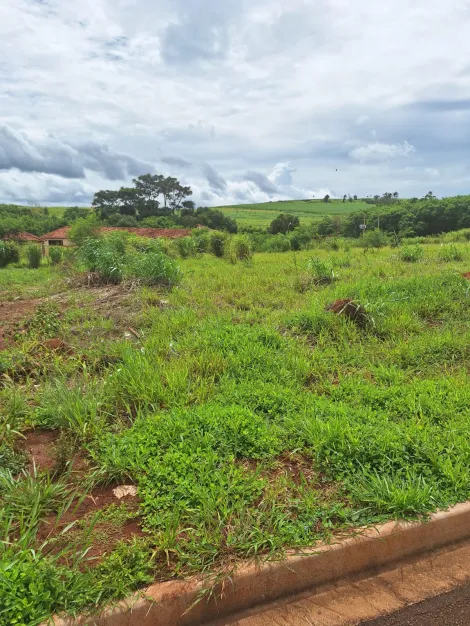 imagem 2 - Terreno - Padrão imagem 2 - Terreno - Padrão