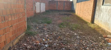 imagem 1 - TERRENO PRONTO PARA CONSTRUIR - VILA SANTISTA imagem 1 - TERRENO PRONTO PARA CONSTRUIR - VILA SANTISTA