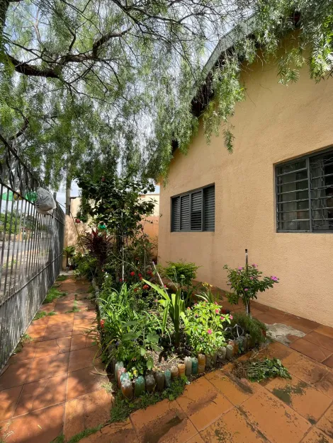 imagem 1 - Casa - Padrão imagem 1 - Casa - Padrão