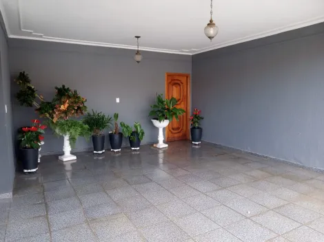imagem 2 - Linda casa na Vila Souto! imagem 2 - Linda casa na Vila Souto!