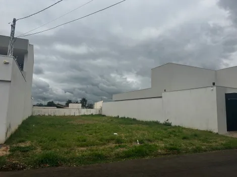 imagem 1 - TERRENO PLANO E MURADO - JD ESTORIL 2 imagem 1 - TERRENO PLANO E MURADO - JD ESTORIL 2