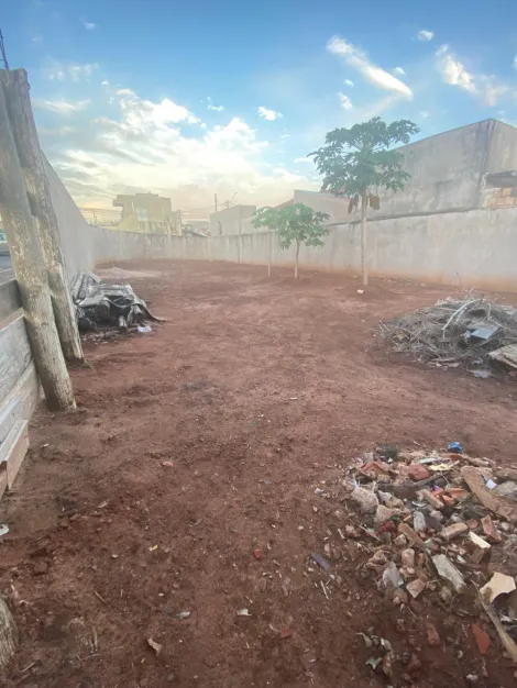 imagem 4 - Terreno  de esquina,  murado e encaixado à venda- JD CELINA imagem 4 - Terreno  de esquina,  murado e encaixado à venda- JD CELINA