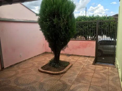 imagem 1 - Casa Jardim Joao Paccola imagem 1 - Casa Jardim Joao Paccola
