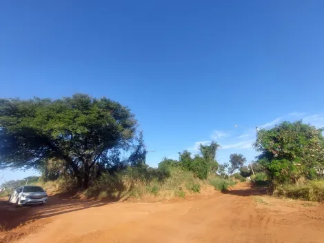 imagem 1 - Ótimo lote para VENDA! imagem 1 - Ótimo lote para VENDA!