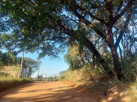 imagem 3 - Ótimo lote para VENDA! imagem 3 - Ótimo lote para VENDA!