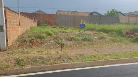 imagem 1 - Terreno - Padrão imagem 1 - Terreno - Padrão