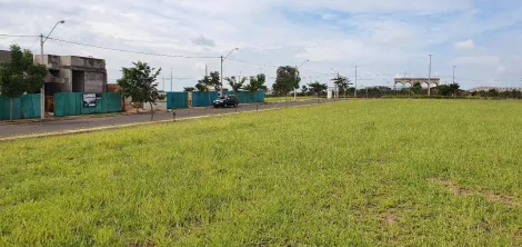 imagem 4 - Excelente Lote - Cyrela Estoril -610m² imagem 4 - Excelente Lote - Cyrela Estoril -610m²