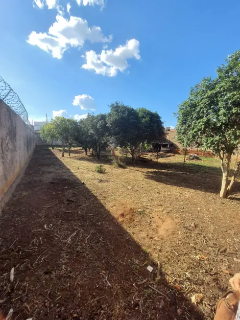 imagem 3 - Terreno murado com excelente localização - Jardim Paraíso imagem 3 - Terreno murado com excelente localização - Jardim Paraíso
