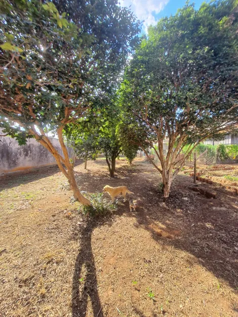 imagem 4 - Terreno murado com excelente localização - Jardim Paraíso imagem 4 - Terreno murado com excelente localização - Jardim Paraíso