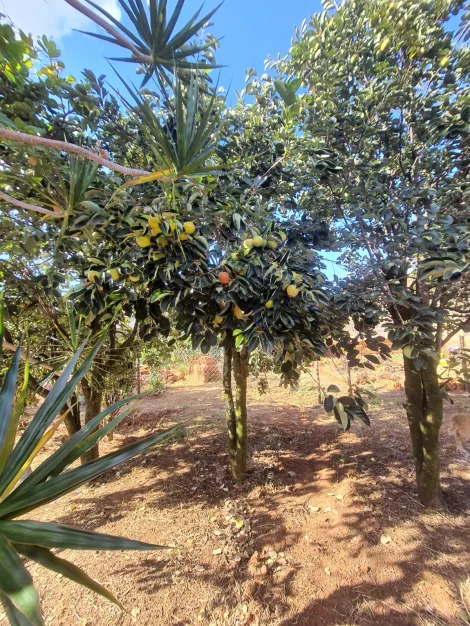 imagem 5 - Terreno murado com excelente localização - Jardim Paraíso imagem 5 - Terreno murado com excelente localização - Jardim Paraíso