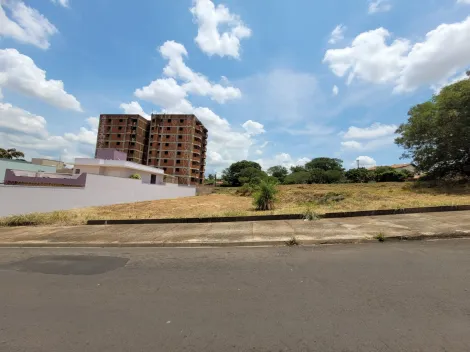 imagem 1 - Terreno - Vila Zillo imagem 1 - Terreno - Vila Zillo