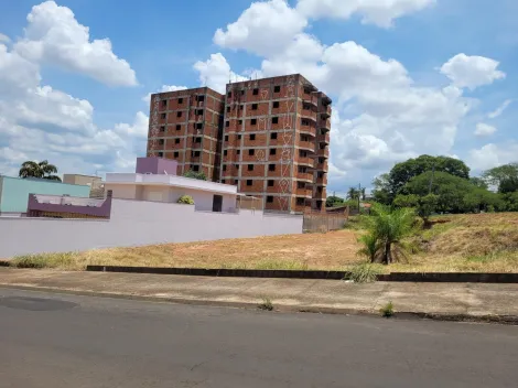 imagem 2 - Terreno - Vila Zillo imagem 2 - Terreno - Vila Zillo