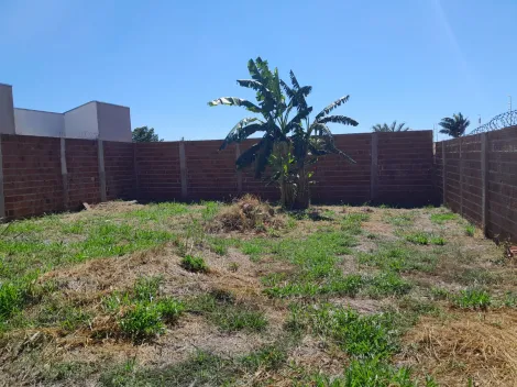 imagem 5 - Terreno - Padrão imagem 5 - Terreno - Padrão