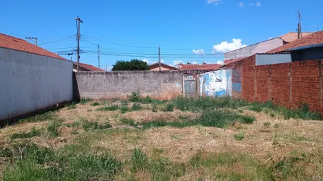 imagem 2 - JARDIM DAS ACÁCIAS - IGARAÇU DO TIETÊ/ SP imagem 2 - JARDIM DAS ACÁCIAS - IGARAÇU DO TIETÊ/ SP