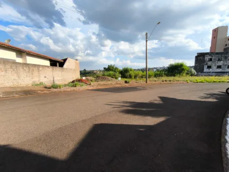 imagem 2 - Terreno - Padrão imagem 2 - Terreno - Padrão