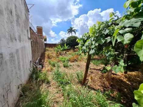 imagem 2 - Terreno Maria Luiza II imagem 2 - Terreno Maria Luiza II