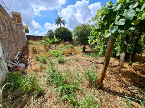 imagem 3 - Terreno Maria Luiza II imagem 3 - Terreno Maria Luiza II