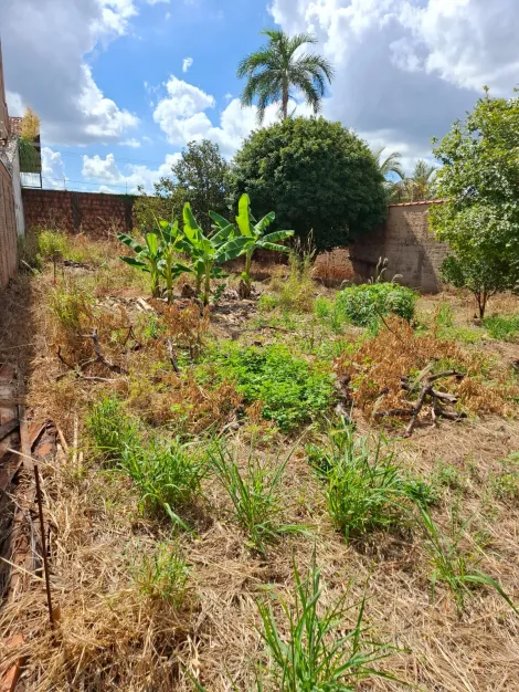 imagem 4 - Terreno Maria Luiza II imagem 4 - Terreno Maria Luiza II