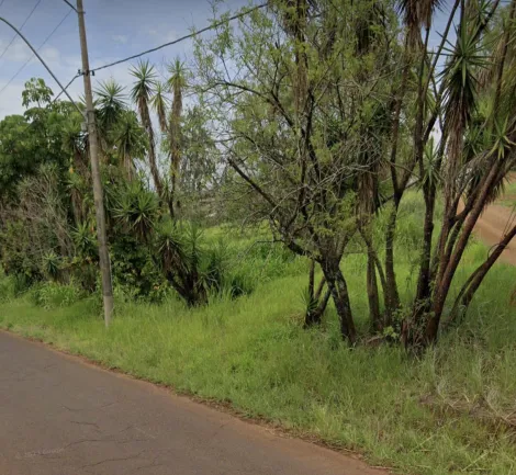 imagem 4 - SANTO ANTONIO - BARRA BONITA / SP imagem 4 - SANTO ANTONIO - BARRA BONITA / SP