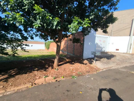 Barra Bonita Vila Nova rural Venda R$1.500.000,00 3 Dormitorios 10 Vagas Area do terreno 1222.00m2 Area construida 290.00m2