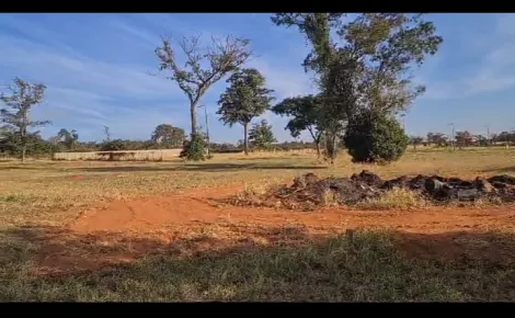 imagem 3 - Terreno amplo no PALMAS DEL REY II imagem 3 - Terreno amplo no PALMAS DEL REY II