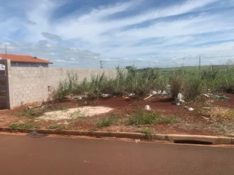 imagem 1 - Terreno - Padrão imagem 1 - Terreno - Padrão