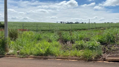 imagem 1 - Terreno - Padrão imagem 1 - Terreno - Padrão