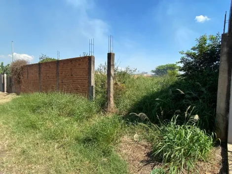 imagem 4 - Terreno - Padrão imagem 4 - Terreno - Padrão