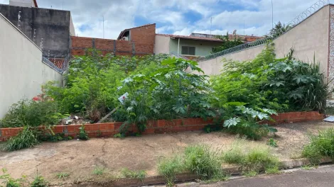 imagem 1 - Terreno - Padrão imagem 1 - Terreno - Padrão
