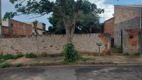 imagem 1 - Terreno - Vila São João do Ipiranga imagem 1 - Terreno - Vila São João do Ipiranga