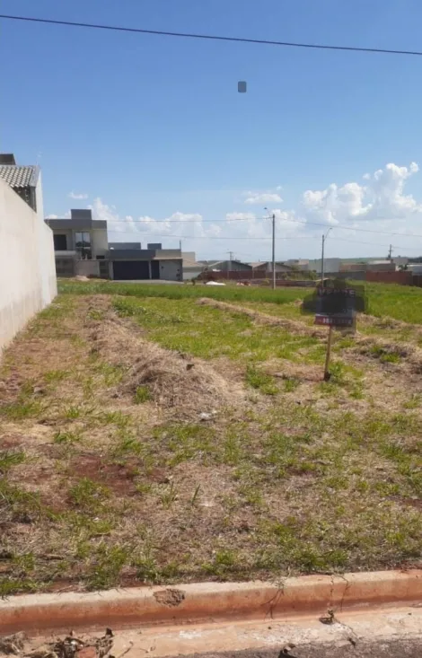 imagem 1 - Terreno - Padrão imagem 1 - Terreno - Padrão