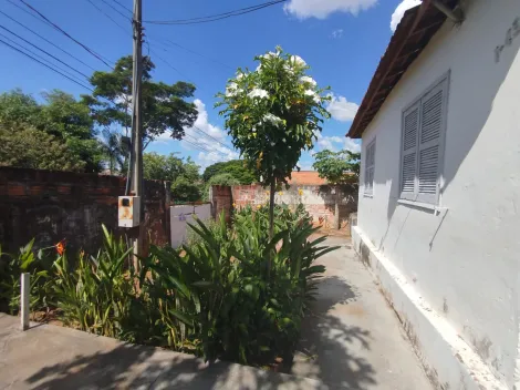 imagem 2 - Terreno à Venda  300m² (10x30)  Plano - Ideal para Construção! imagem 2 - Terreno à Venda  300m² (10x30)  Plano - Ideal para Construção!
