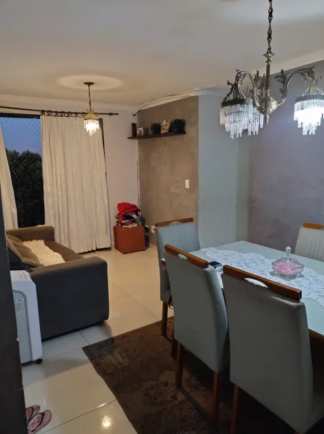 imagem 1 - Lindo Apartamento à Venda no Residencial Camélias imagem 1 - Lindo Apartamento à Venda no Residencial Camélias
