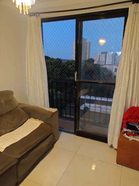imagem 4 - Lindo Apartamento à Venda no Residencial Camélias imagem 4 - Lindo Apartamento à Venda no Residencial Camélias