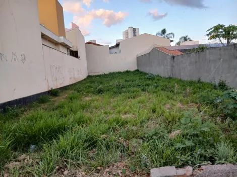 imagem 1 - Lindo terreno amplo na RIO BRANCO! imagem 1 - Lindo terreno amplo na RIO BRANCO!