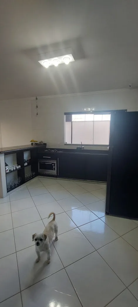 imagem 5 - Excelente Residência *impecavel imagem 5 - Excelente Residência *impecavel