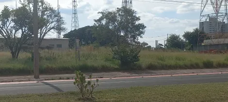 imagem 2 - Lindo terreno na Avenida Comendador Jose da Silva Martha imagem 2 - Lindo terreno na Avenida Comendador Jose da Silva Martha