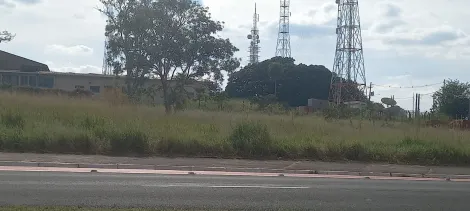 imagem 3 - Lindo terreno na Avenida Comendador Jose da Silva Martha imagem 3 - Lindo terreno na Avenida Comendador Jose da Silva Martha