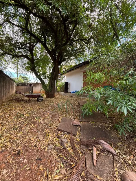 imagem 2 - LINDA CASA ARBORIZADA COM 3 DORMITÓRIOS, PISCINA E CANIL imagem 2 - LINDA CASA ARBORIZADA COM 3 DORMITÓRIOS, PISCINA E CANIL