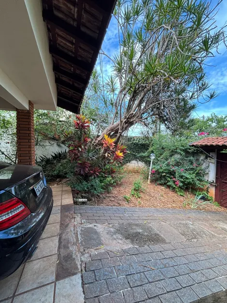 imagem 3 - LINDA CASA ARBORIZADA COM 3 DORMITÓRIOS, PISCINA E CANIL imagem 3 - LINDA CASA ARBORIZADA COM 3 DORMITÓRIOS, PISCINA E CANIL