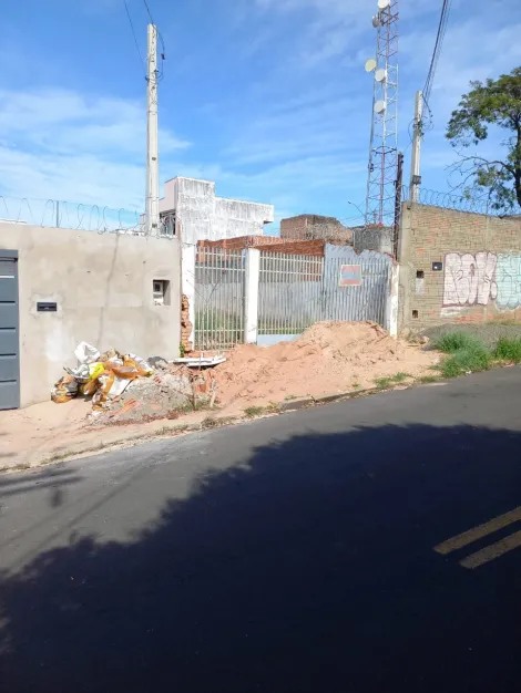 imagem 1 - Terreno murado e plano - Vila Souto imagem 1 - Terreno murado e plano - Vila Souto
