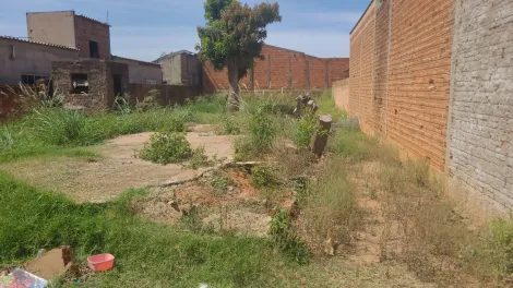 imagem 1 - Terreno - Vila São João do Ipiranga imagem 1 - Terreno - Vila São João do Ipiranga