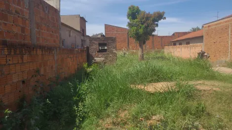 imagem 3 - Terreno - Vila São João do Ipiranga imagem 3 - Terreno - Vila São João do Ipiranga