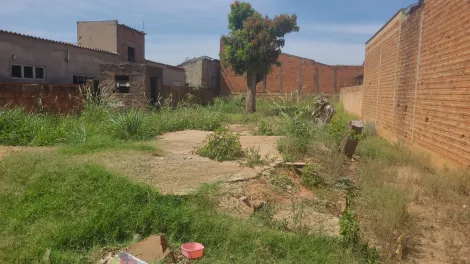 imagem 4 - Terreno - Vila São João do Ipiranga imagem 4 - Terreno - Vila São João do Ipiranga